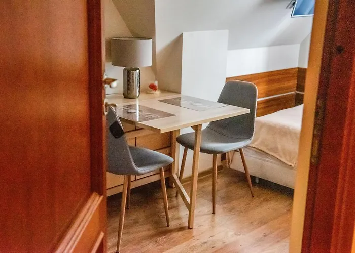 Alesandro 扎科帕内