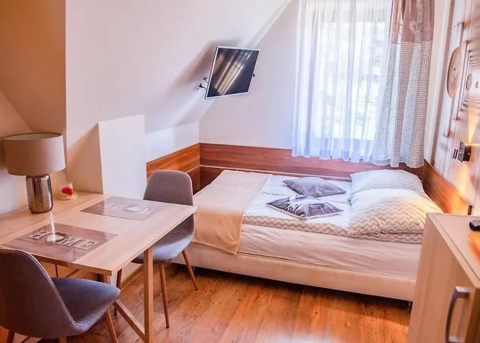 Alesandro 扎科帕内