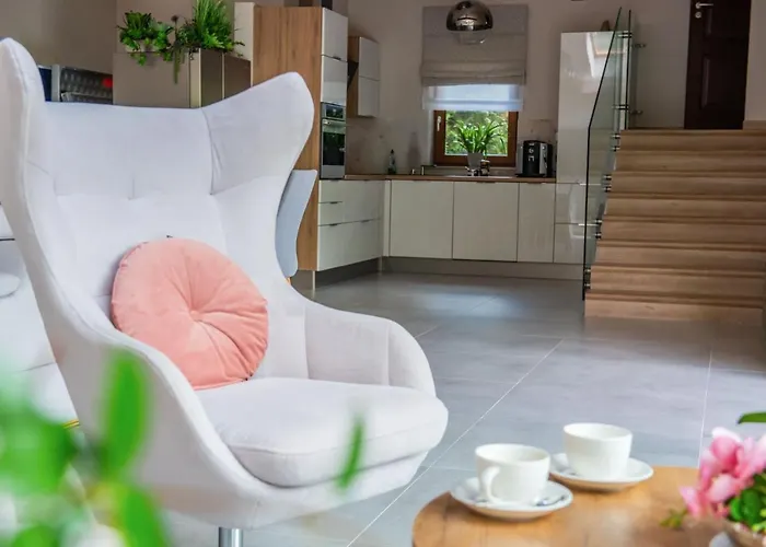 Alesandro 扎科帕内