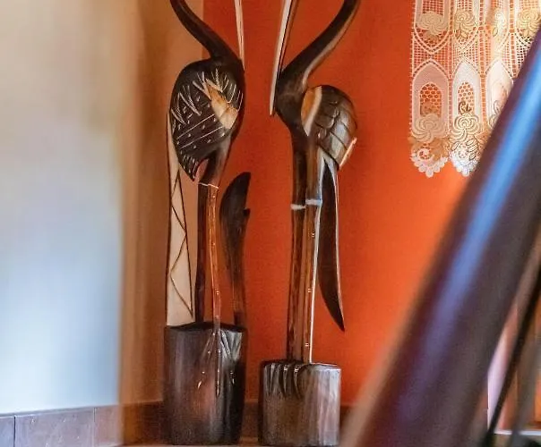 Alesandro 扎科帕内