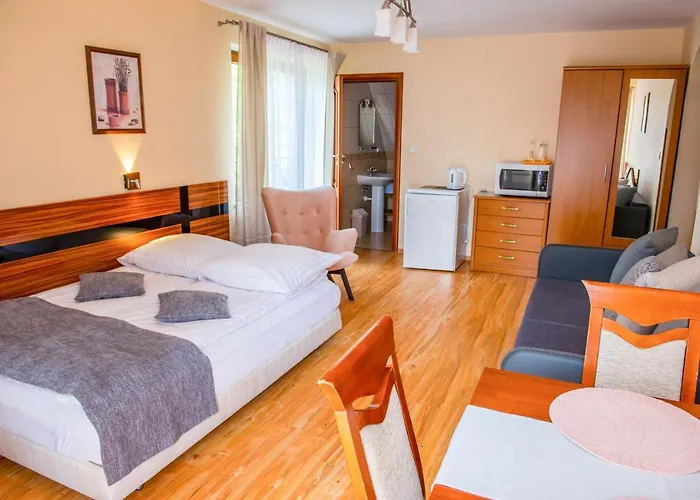 Alesandro 扎科帕内