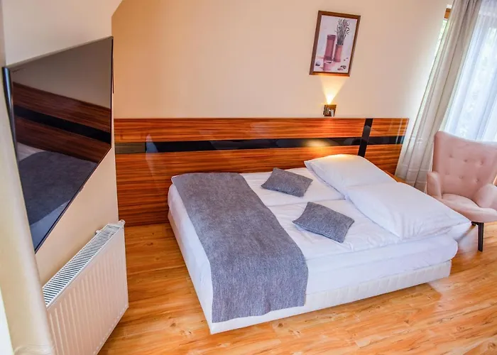 Alesandro * 扎科帕内