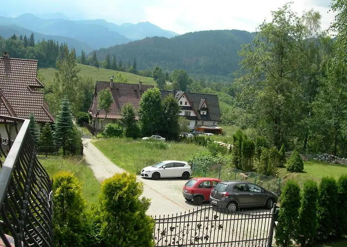 Alesandro 扎科帕内